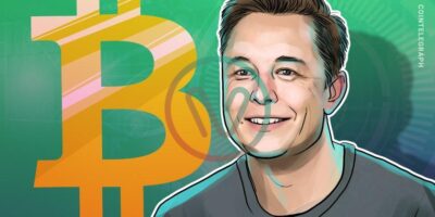 Elon Musk argued that NFT projects “should at least encode the JPEG in the blockchain