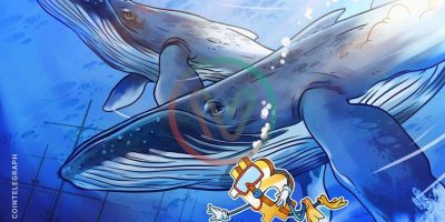 Bitcoin whales have added over $2.9 billion worth of BTC