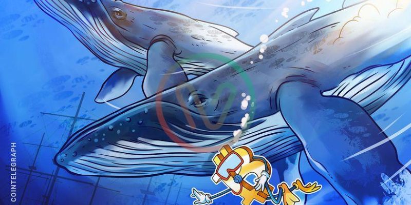 Bitcoin whales have added over $2.9 billion worth of BTC