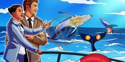 CryptoQuant CEO Ki Young Ju highlights similarities between Bitcoin whale accumulation in 2024 and mid-2020